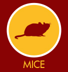 Mice