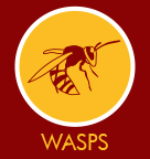 Wasps